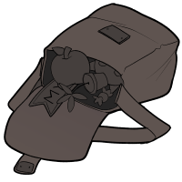 Items